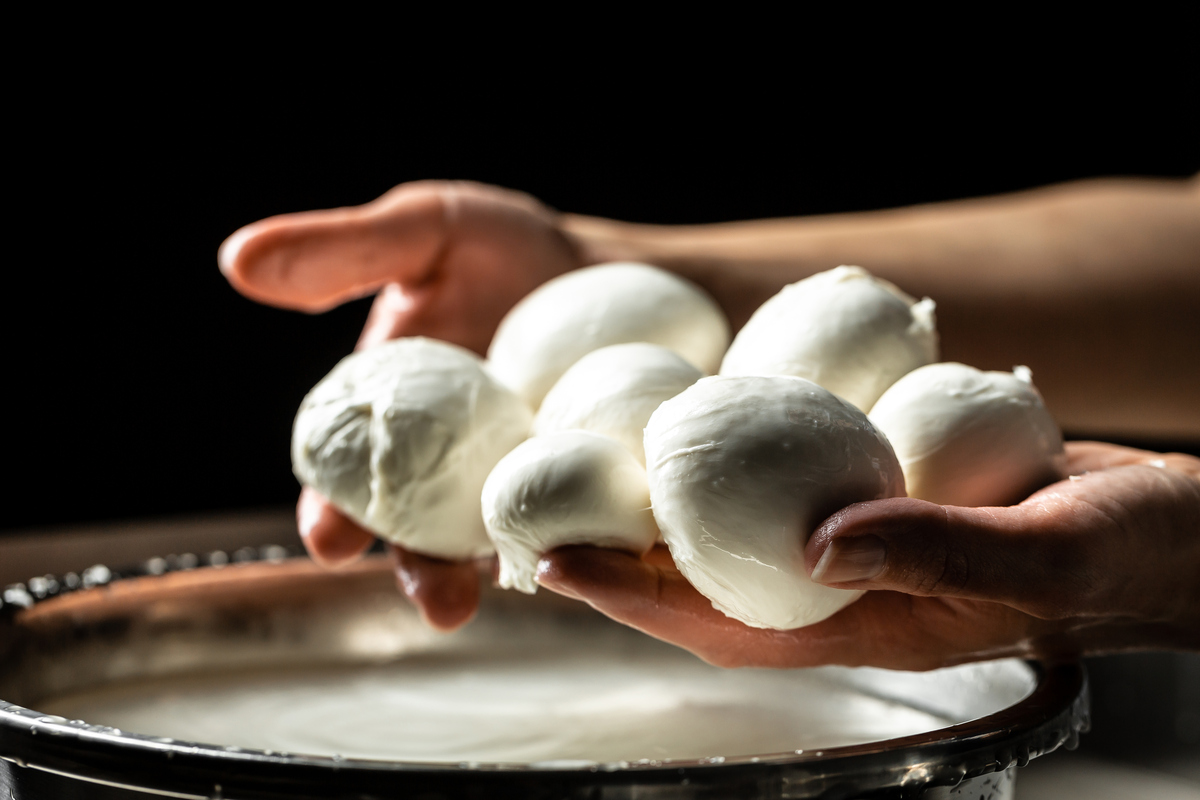 Uncovering the Art of Cheese Making: A Journey to Deliciousness